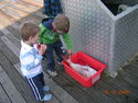Comp 6 - October 18th - Little tackers enjoying the big Snapper